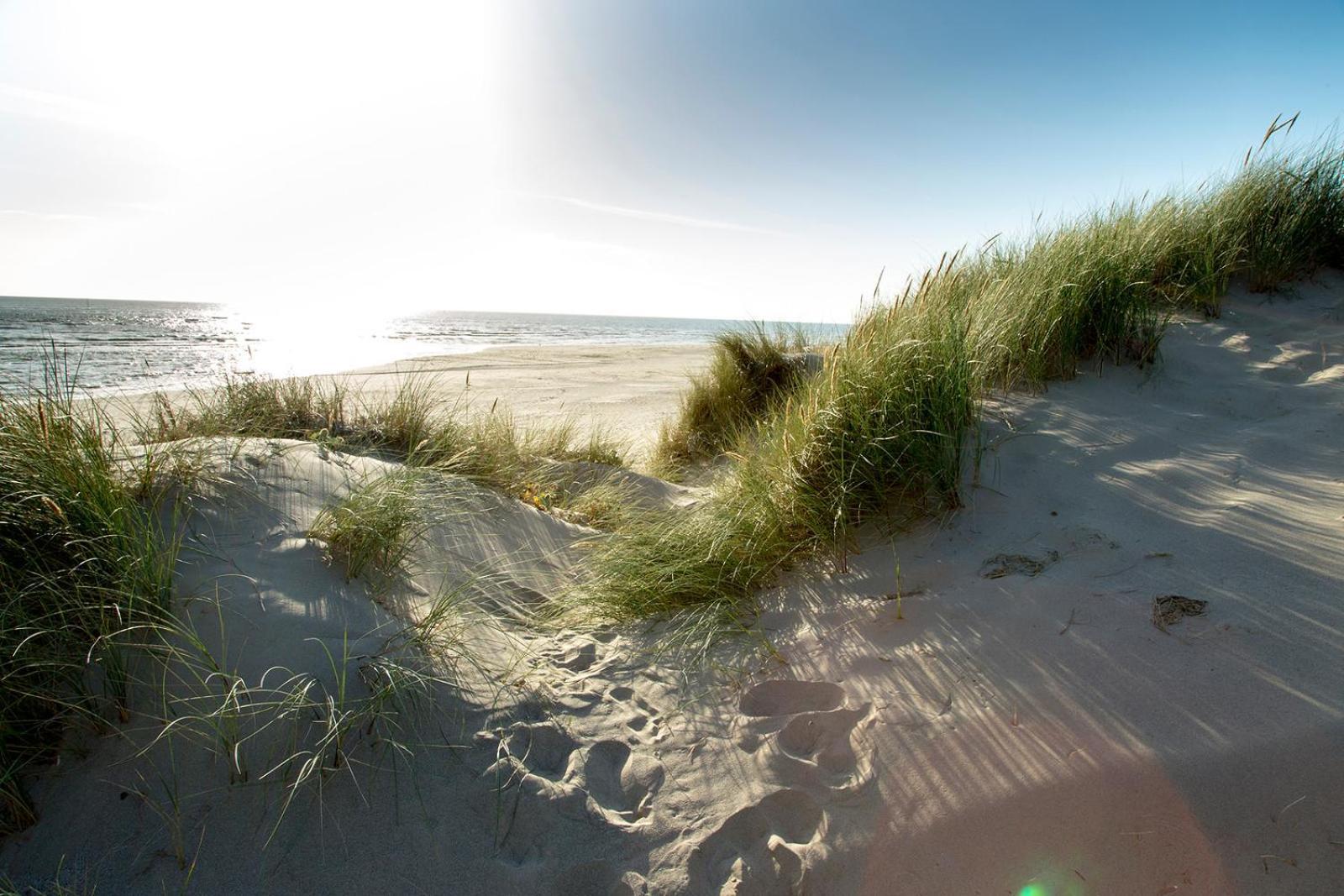 Barmouth Bay Holiday Park Llanddwywe Экстерьер фото